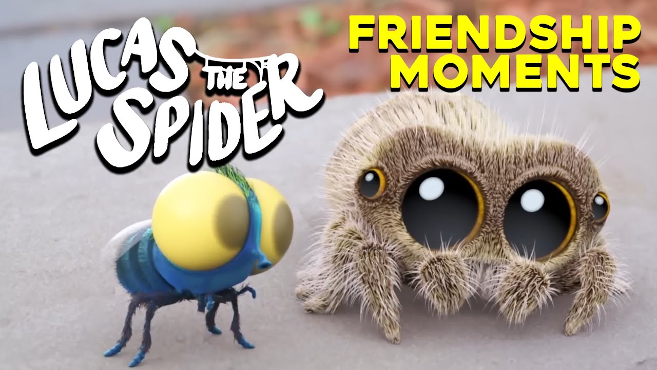The BEST Lucas and Findley Friendship Moments! |  Lucas The Spider