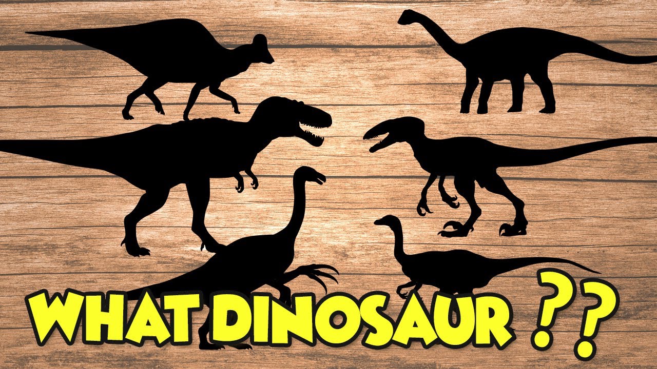 Dinosaurs| Dinosaur Puzzle game |Nigersaurus,Daspletosaurus,Ornithomimus|dinosaur name|공룡퍼즐게임놀이|공룡이름