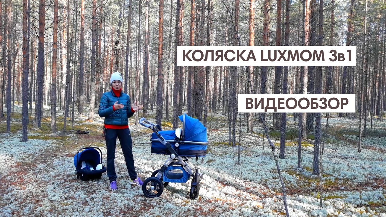 Коляска Luxmom G600 (видеобзор)