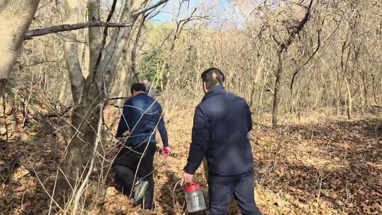 20260110 (형님들과 고로쇠 수액먹기 준비운동)