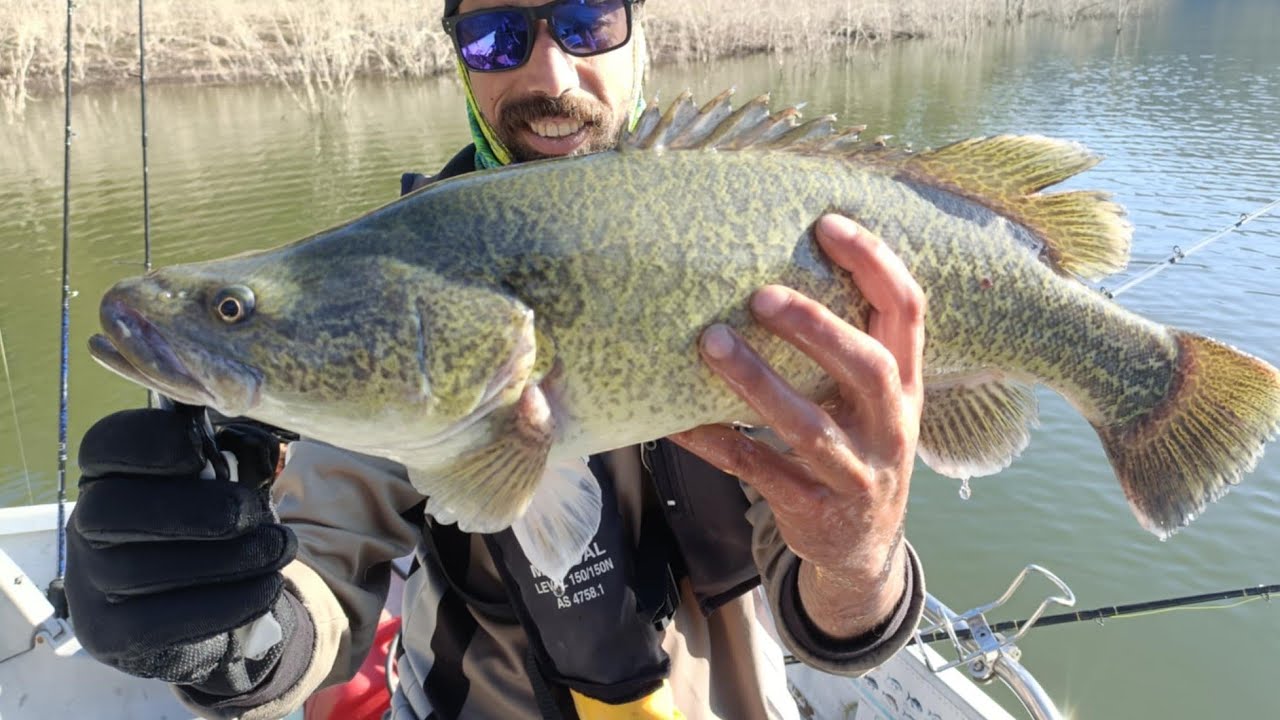 Fishing at Lake Eildon - Trolling lures for Murray Cod