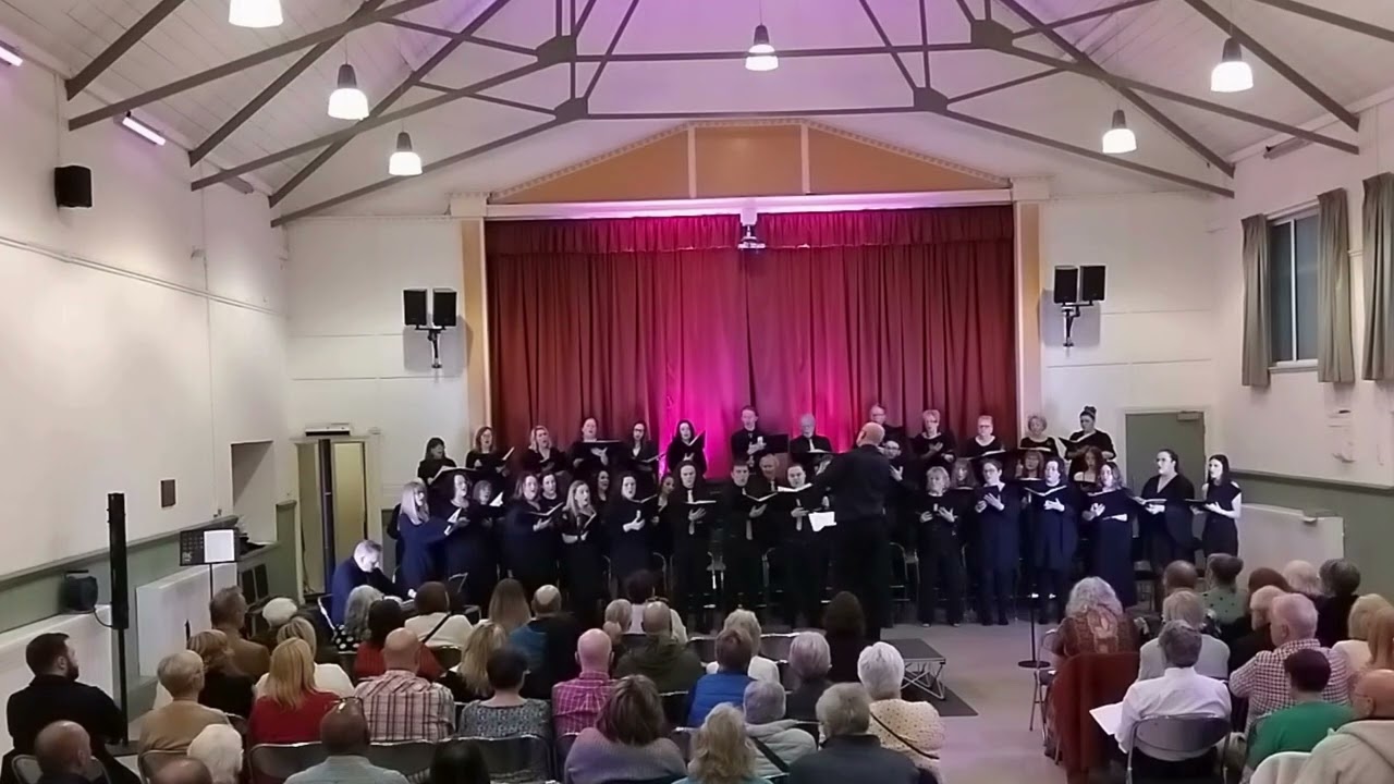 Seal Lullaby