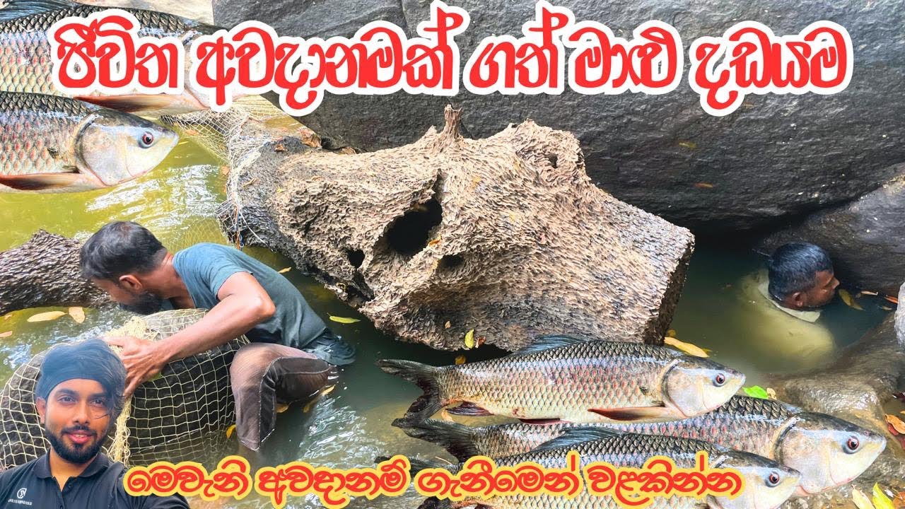 “භයානක ගල් අස්සෙ මාළු ඇල්ලීම – Fishing by a Deadly Cliff!” ✅ @Kavishkadilshanwijayarathna 