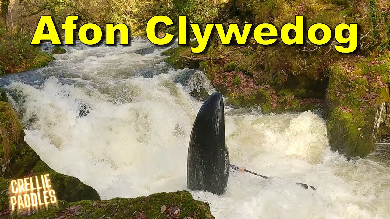 Afon Clywedog 08/11/25