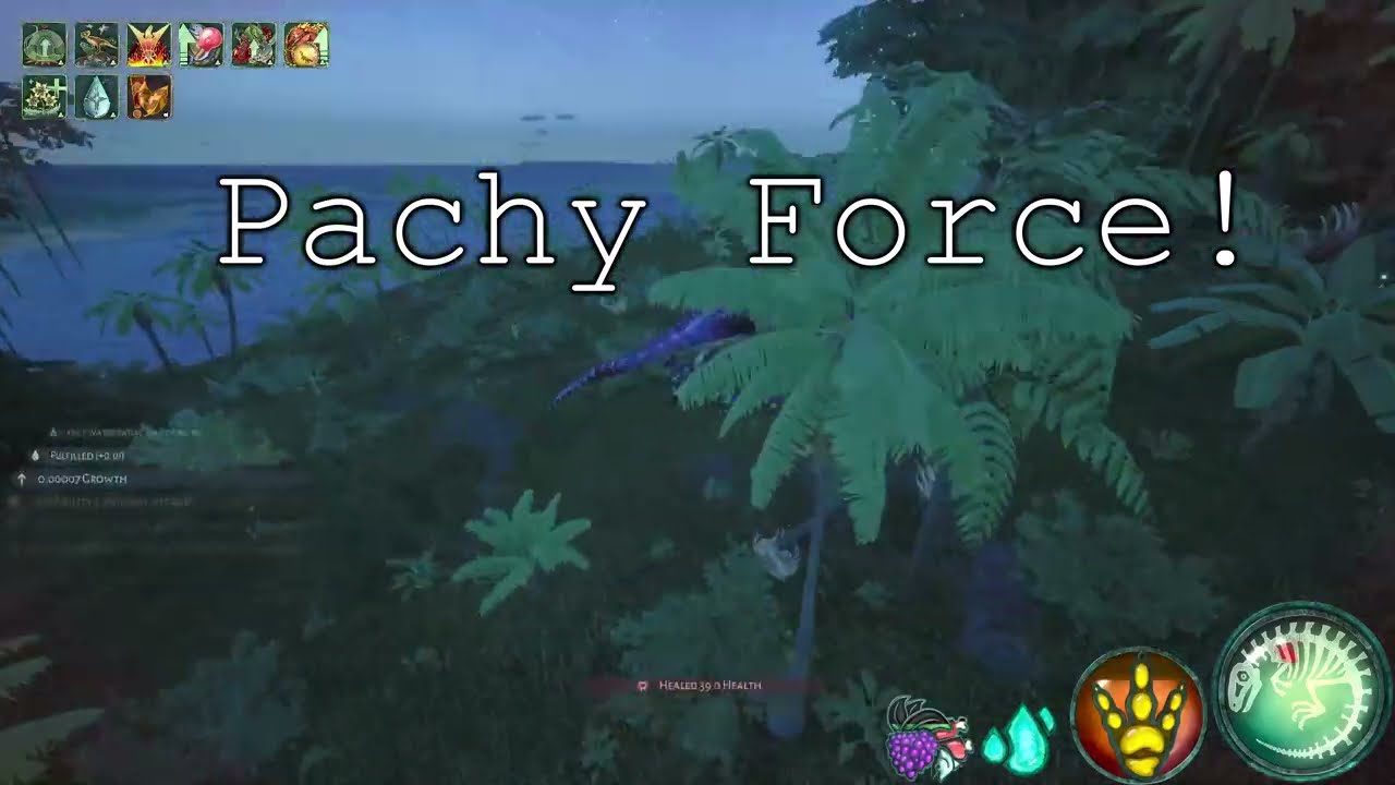 8.5 PACHY KILL COMP FROM PURGE - Beasts Of Bermuda