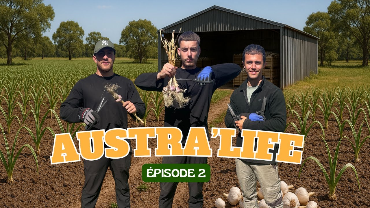 ON ENCHAÎNE LES TAFFS ! - AUSTRA'LIFE EP.2