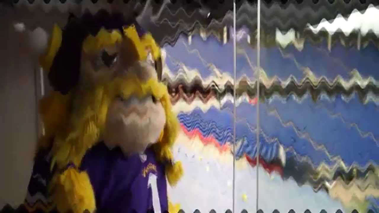 Saying Goodbye to the Metrodome