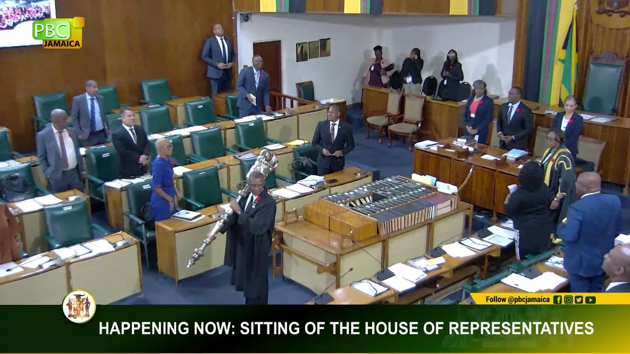 JISTV |The Sitting of the House of Representatives - Nov 11, 2025