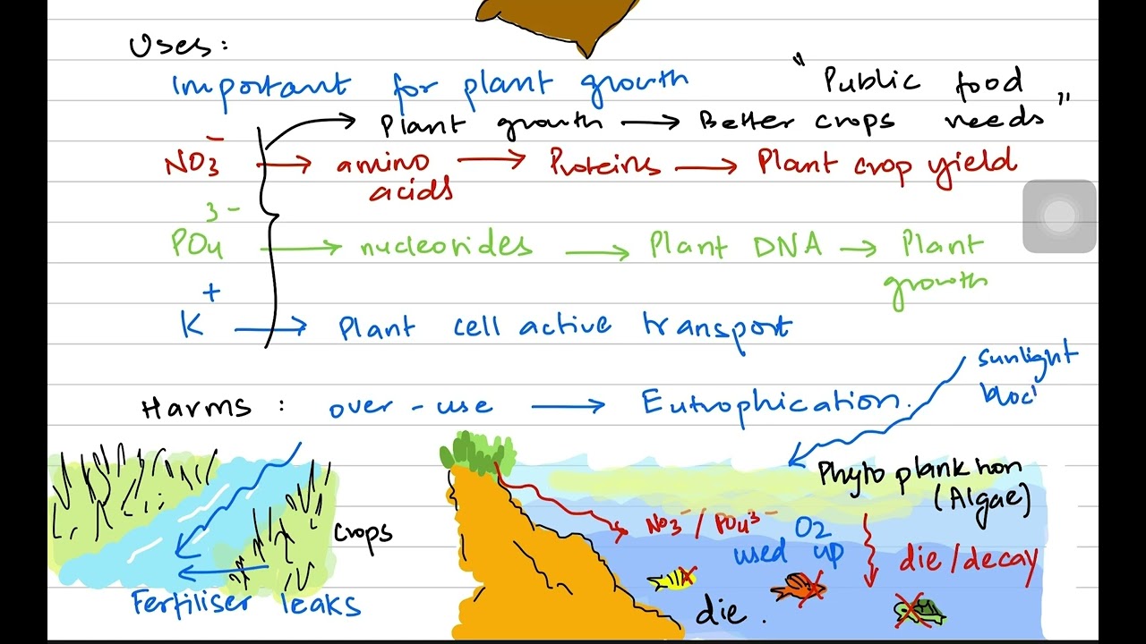 O Level Environmental Chemistry - Fertilisers and Air Pollution