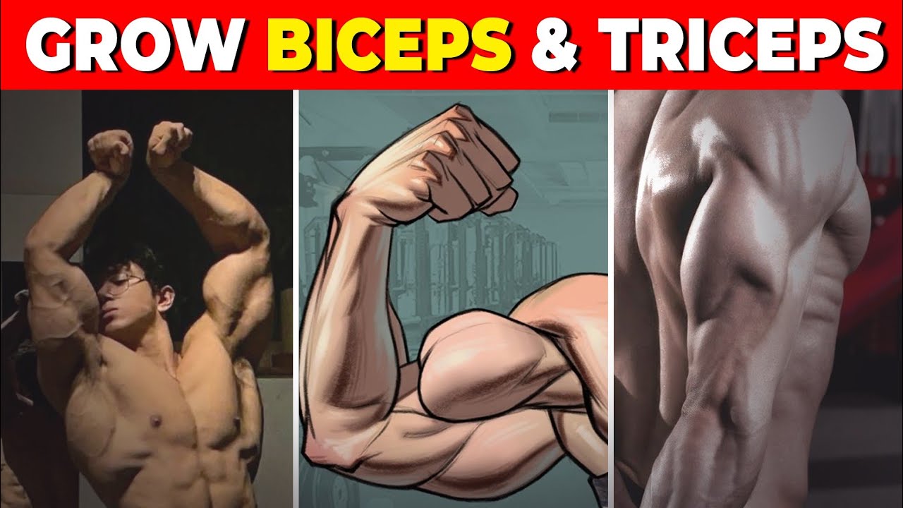 5 Effective Exercises for Bigger Biceps & Triceps
