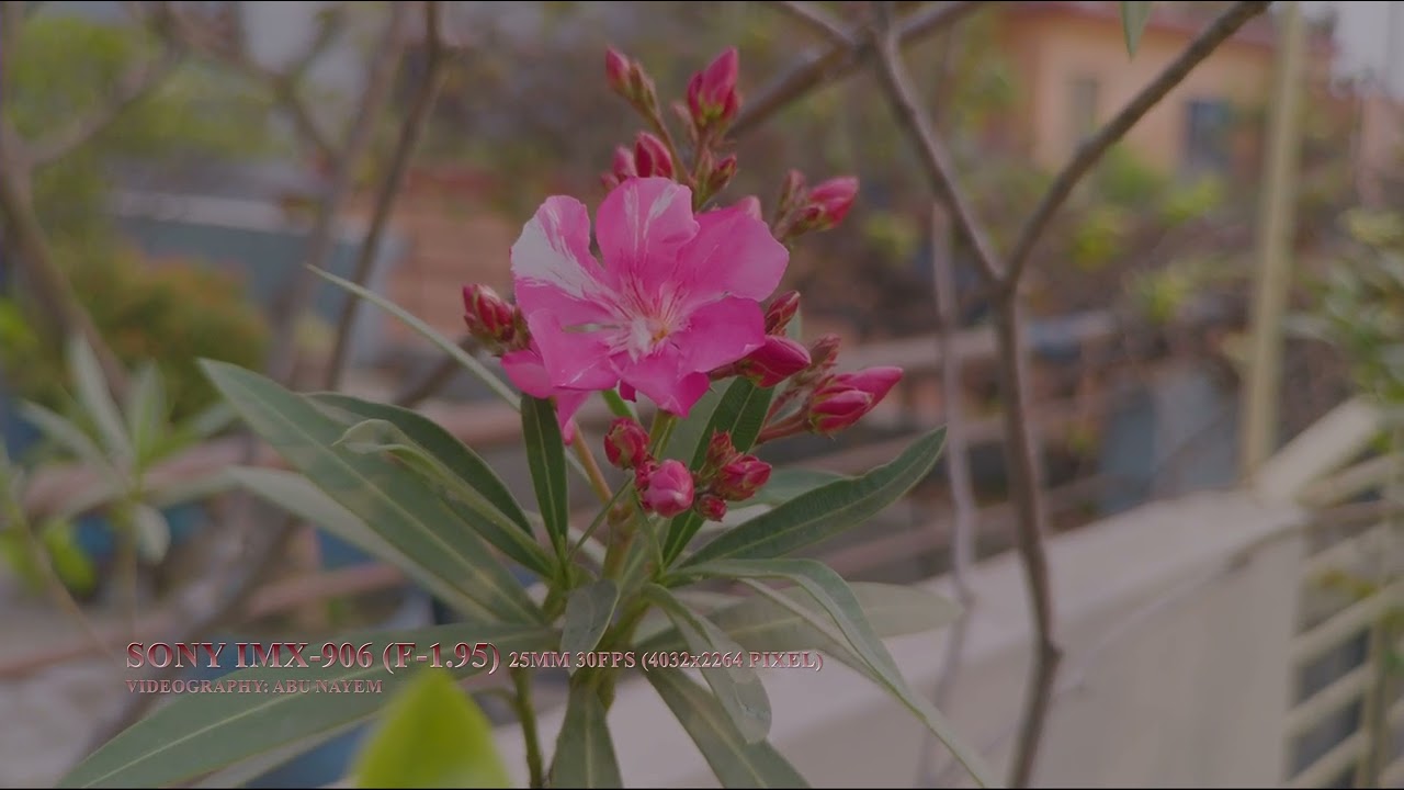 Sony IMX-906 (F-1.95) 30FPS | Smartphone Camera | Smartphone Camera Sensor | Smartphone Camera