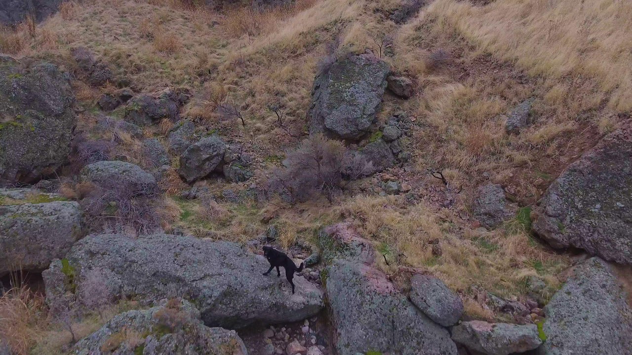Wildcat Canyon, Nampa, Idaho