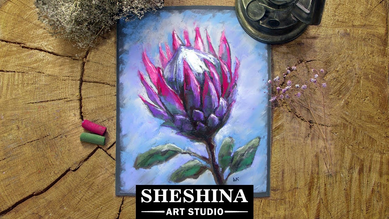 How to draw a Protea flower with soft pastels 🎨 Flowers