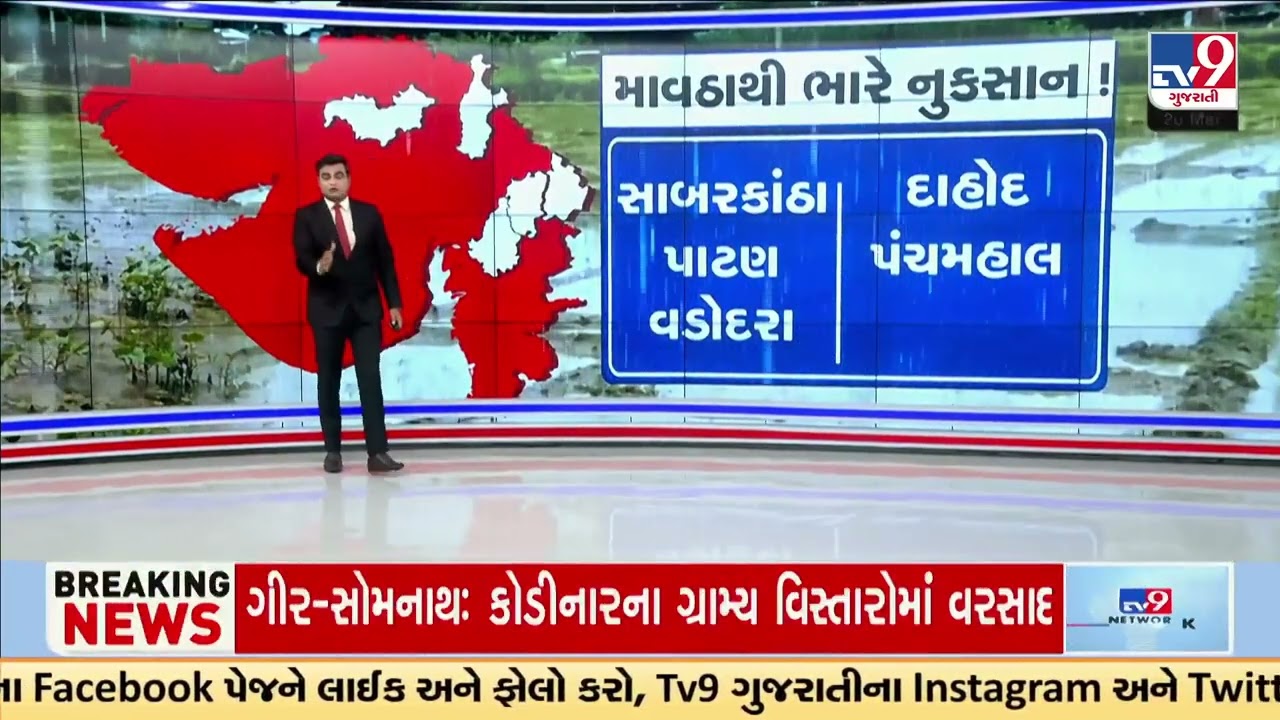 GFX: માવઠાથી ભારે નુકસાન | Unseasonal Rain Wreaks Havoc Across Gujarat | TV9Gujarati
