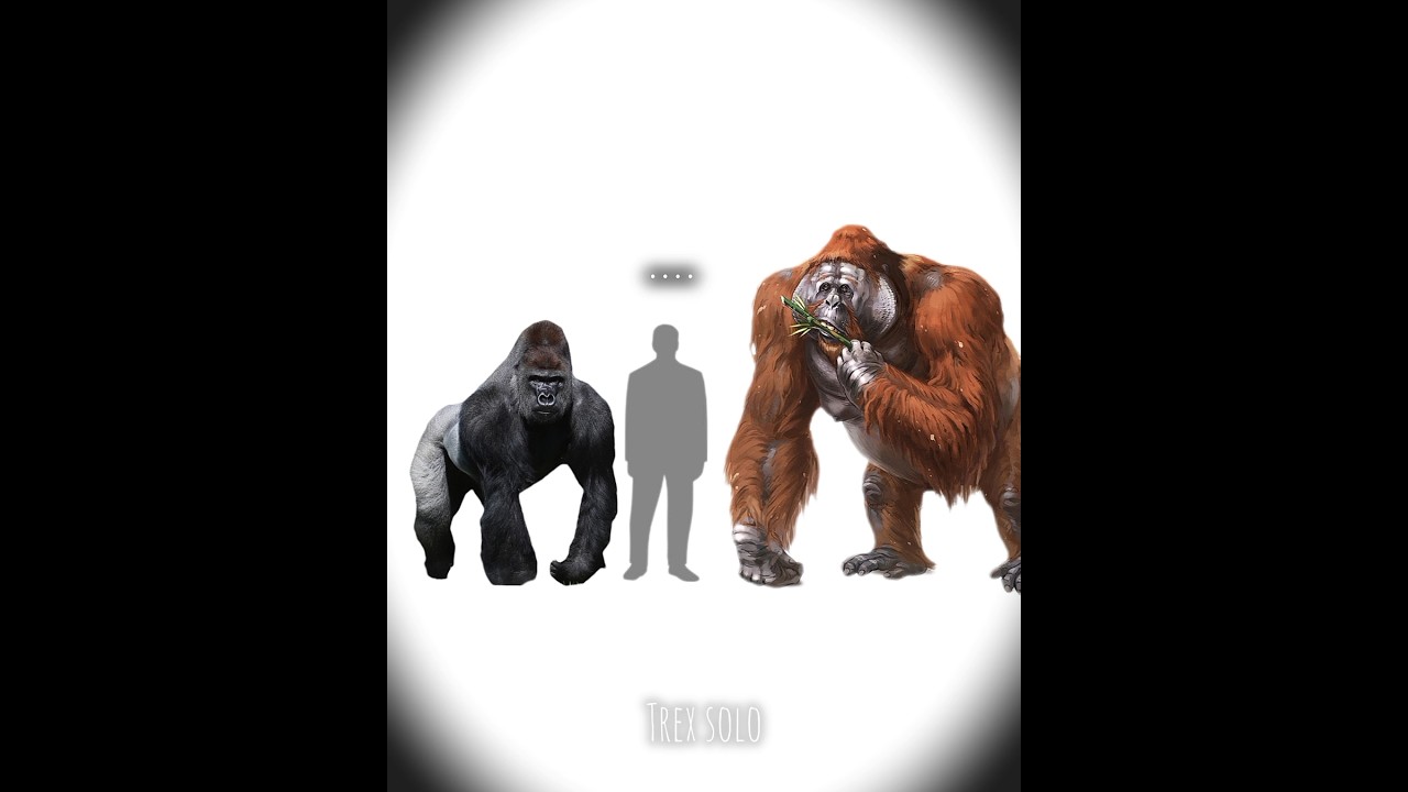1 gorilla vs 100 men What about this?vs 100 men