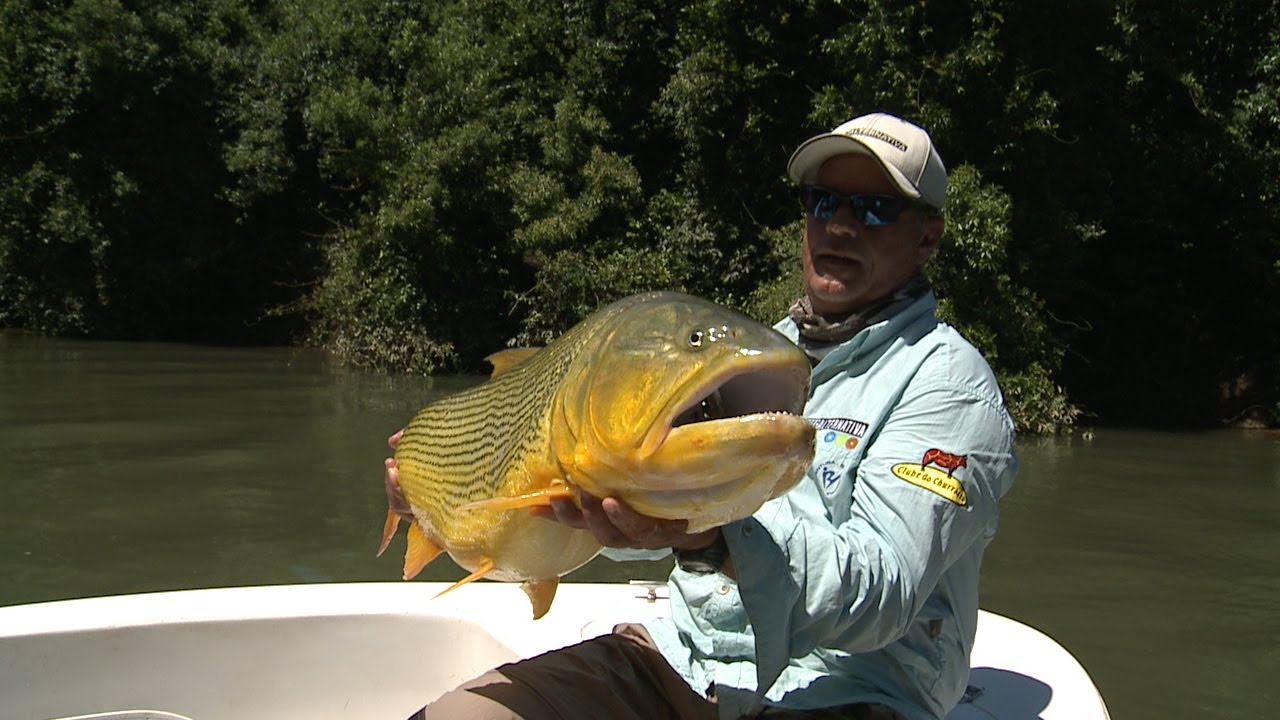 Pesca Alternativa Episódio 358 - Lusca na Pousada Puerto Paraiso