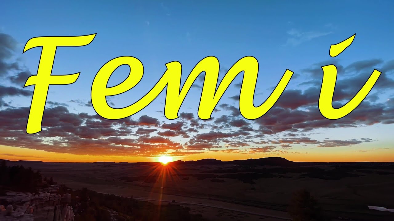 Fem i