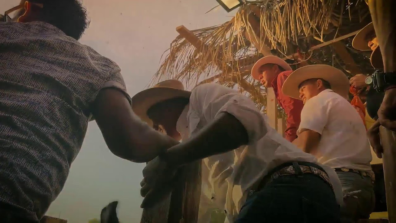 Montaderas 15 de enero Noche - Canal 5