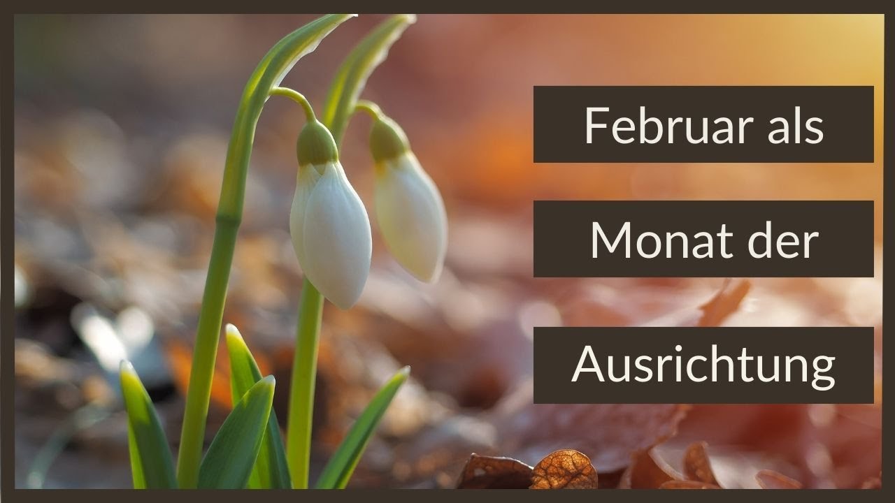 Februar als Monat der Neuausrichtung