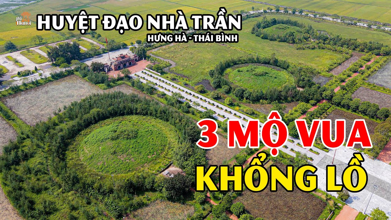 Bí ẩn 3 huyệt đạo đế Vương nhà Trần to như núi ở Hưng Hà Thái Bình #hnp