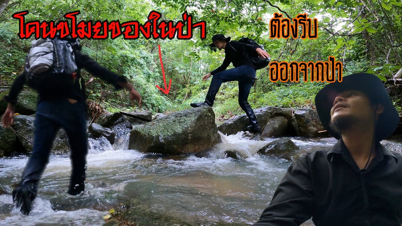 โดนขโมยของในป่า ของสำคัญหาย อันตราย ต้องออกจากป่าทันที