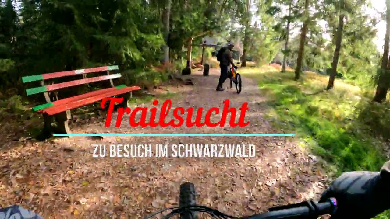 Epic Trails im Schwarzwald ab Kniebis