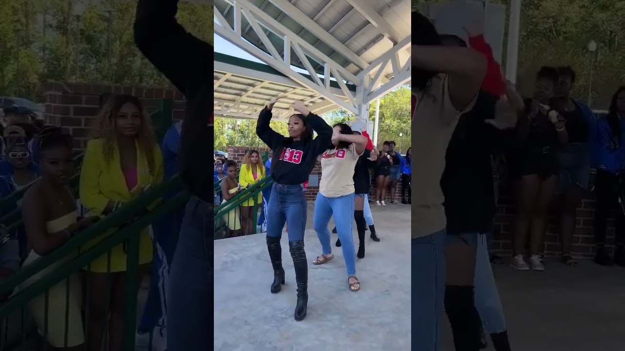 Delta Sigma Theta Sorority Incorporated #blackculture #hbcu #deltasigmatheta