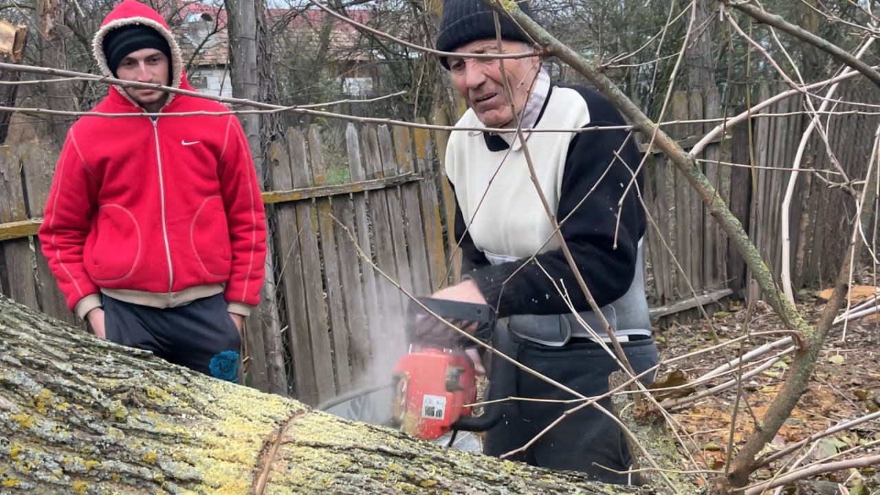 Nea Milan a făcut belea cu drujba electrică!
