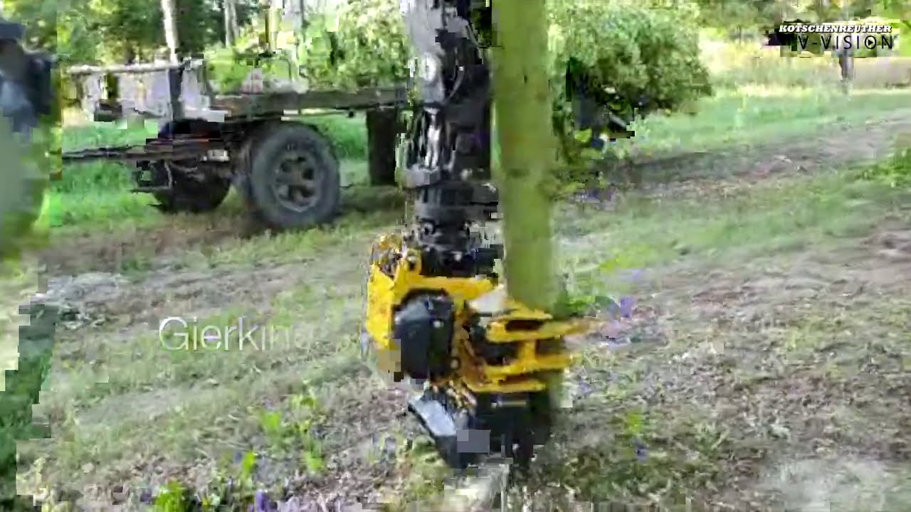 Baumfällung auf Baumplantage mit KOTSCHENREUTHER K200R-Epsilon Ladekran S110F101-Gierking GMT 035