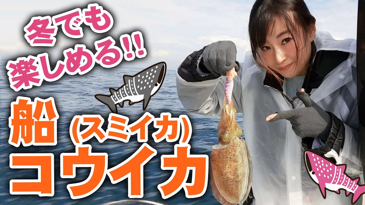 初心者船釣り【コウイカエギング#1】墨を吐かれない取り込み方を実践しました