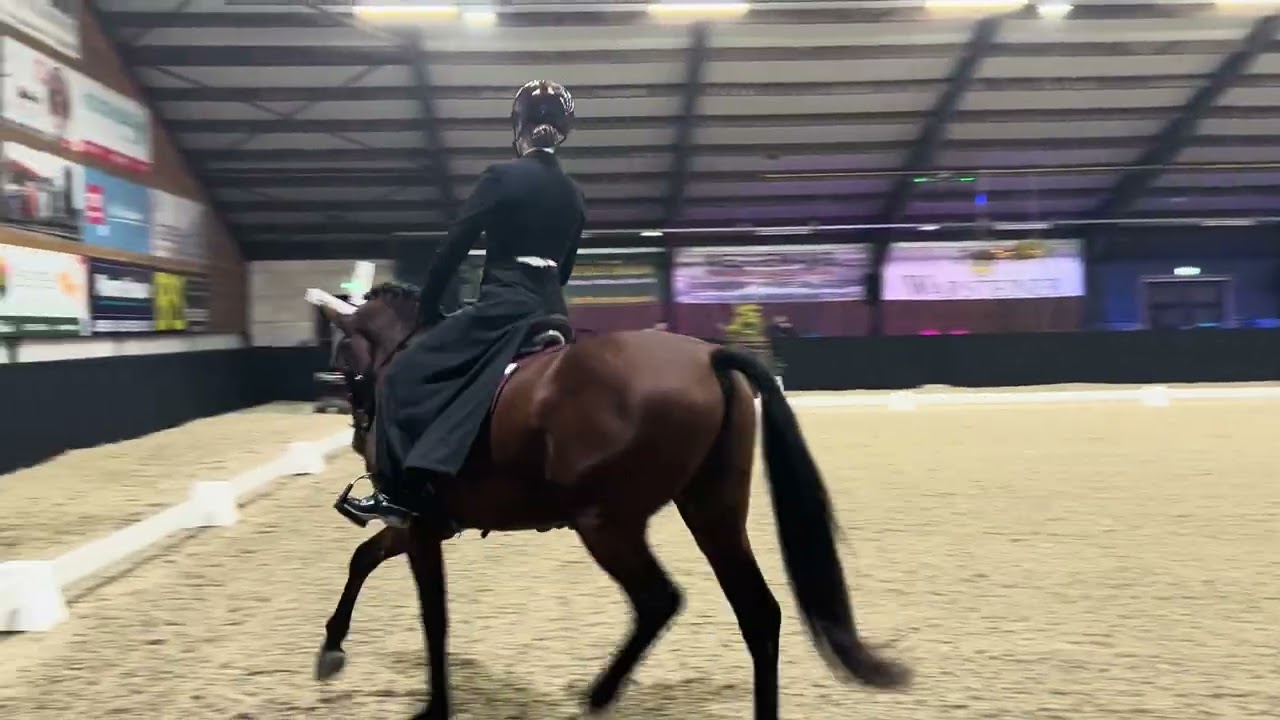 *GOLD* for Chaja Kolthoff-Voest & FSA Felero at MCI European finals 2024 (Carmencita)