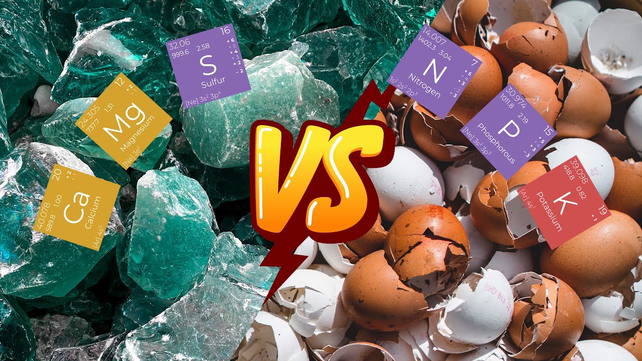 Lekcja 5 - Podłoże i nawożenie - Jakie podłoże wybrać? Nawozy mineralne vs organiczne