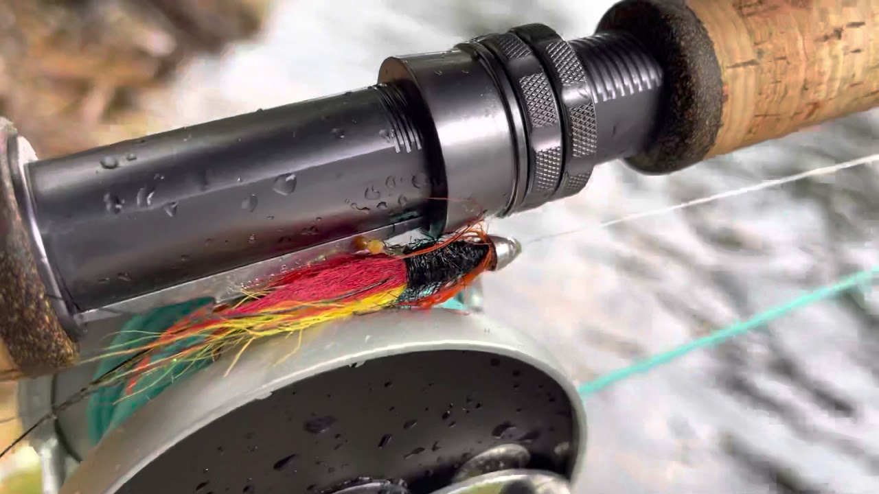 Salmo Live | River Dee - Invercauld