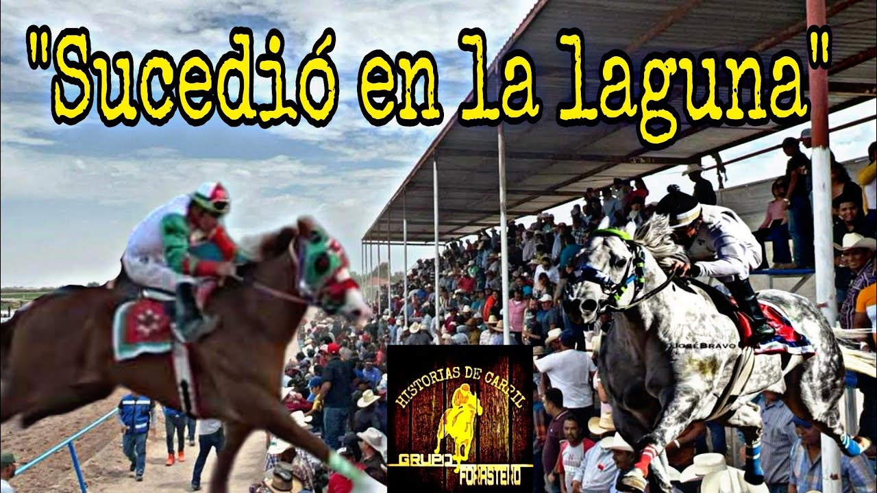 SUCEDIÓ EN LA LAGUNA(historias de carril)