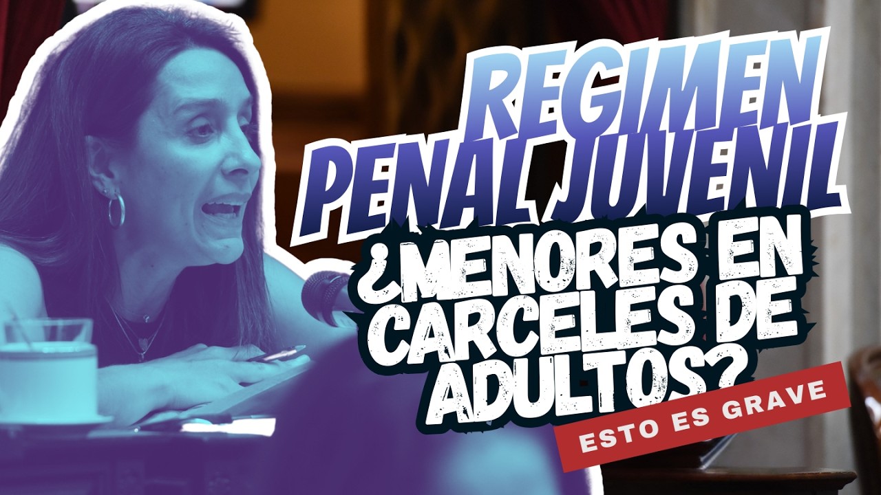 INSEGURIDAD y MENORES: El debate que simplifican para ganar un titular