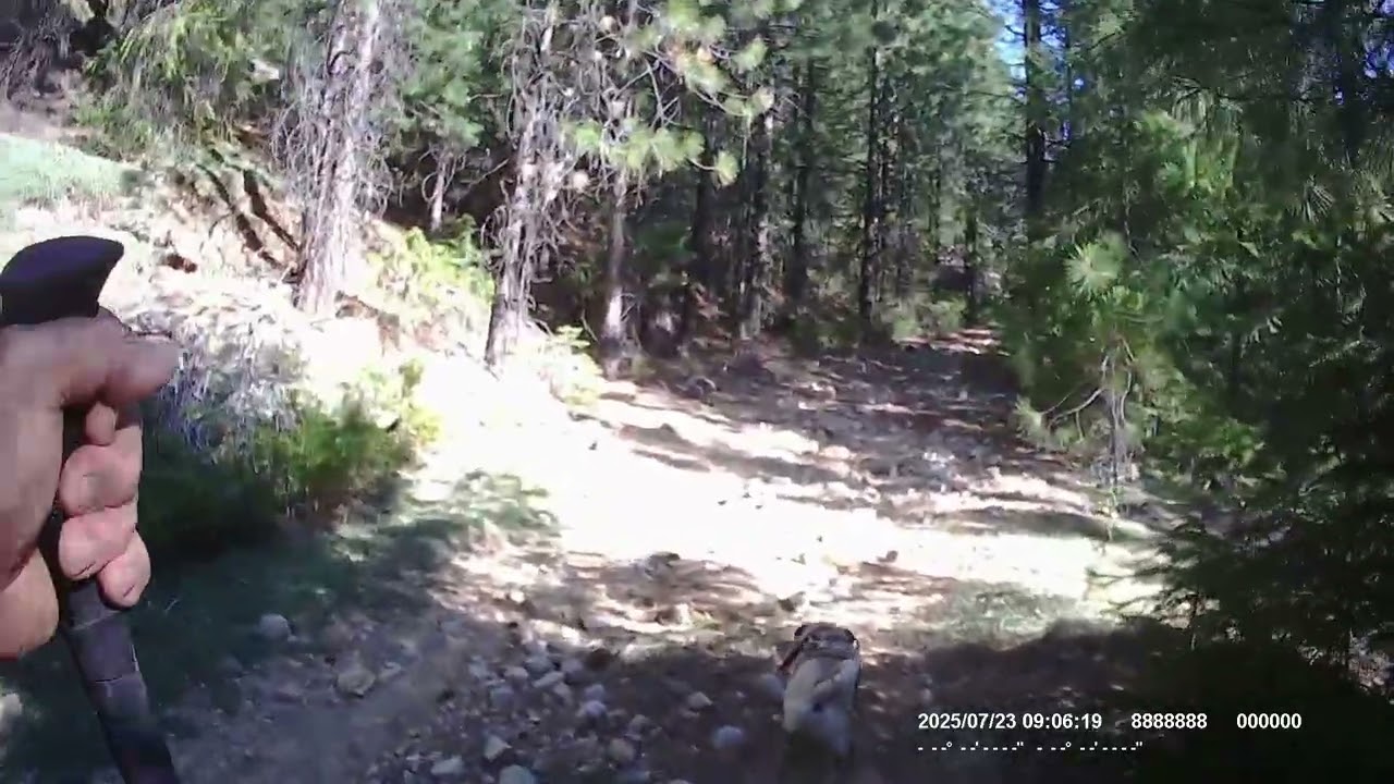 HIKE TO BIG DUCK LAKE PART 1