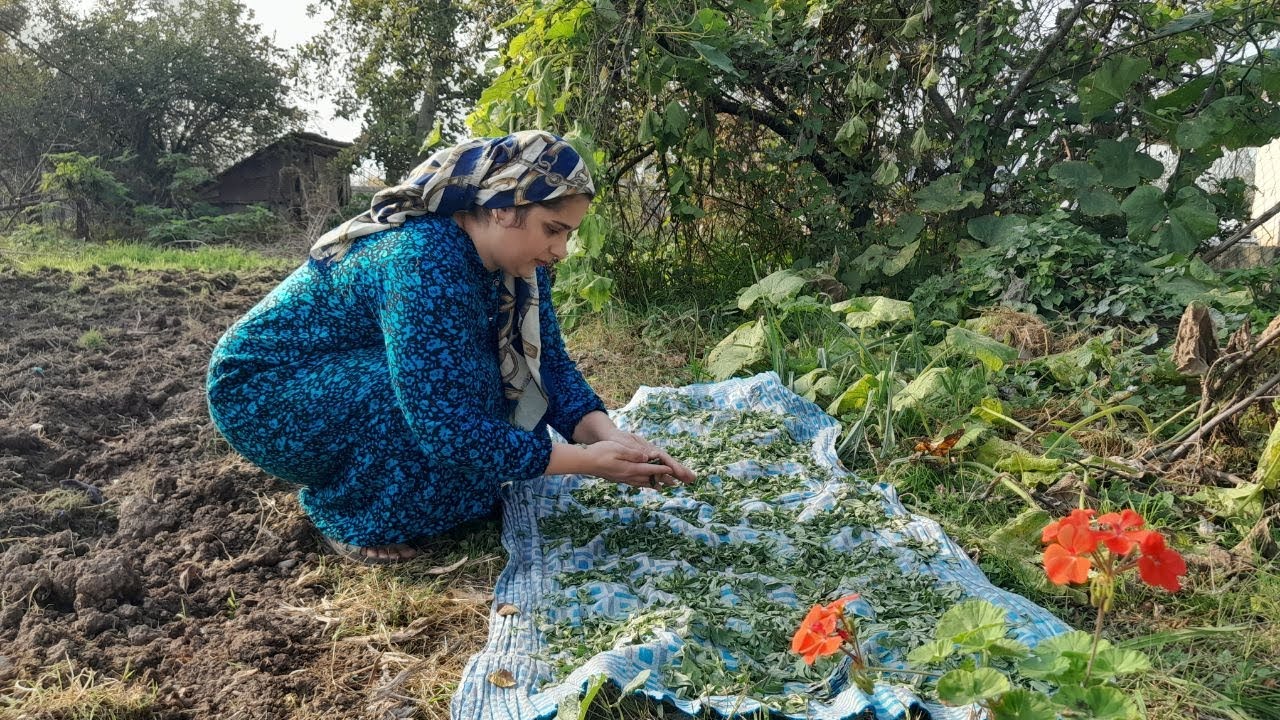 Village life in Iran/Planting vegetable seeds & Making walnut pancakes🥞