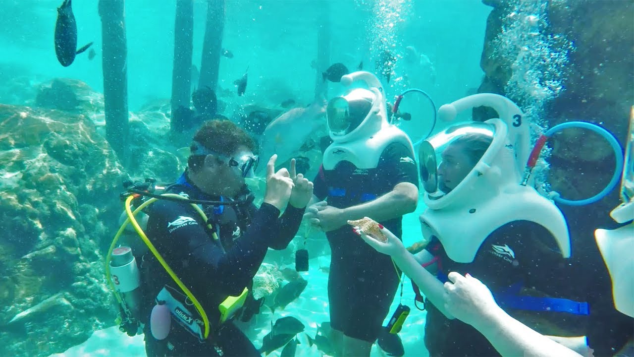 SeaVenture Underwater Walking Tour, Discovery Cove, SeaWorld Orlando Resort