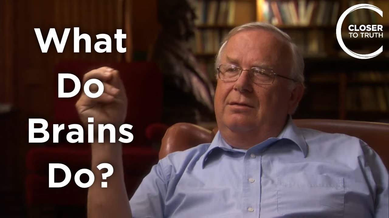 Michael Merzenich - What Do Brains Do?