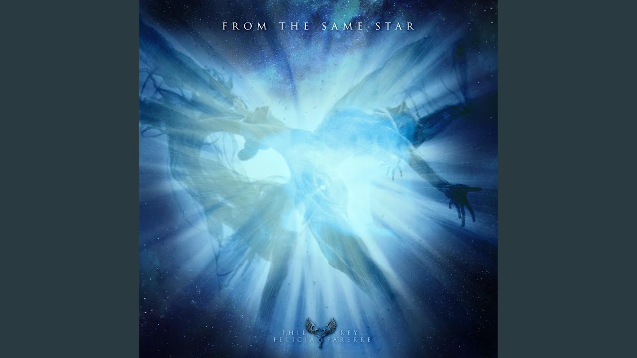 From the Same Star (feat. Felicia Farerre)