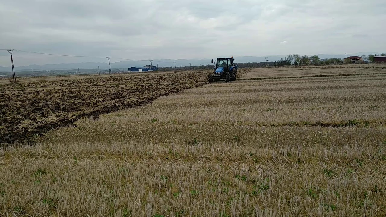 Bafra &Ccedil;eltik Tarlası'nda New Holland TL100 İle Şanzımanlı Vanvey Kullanımı - &Ccedil;elebizade &Ccedil;iftliği
