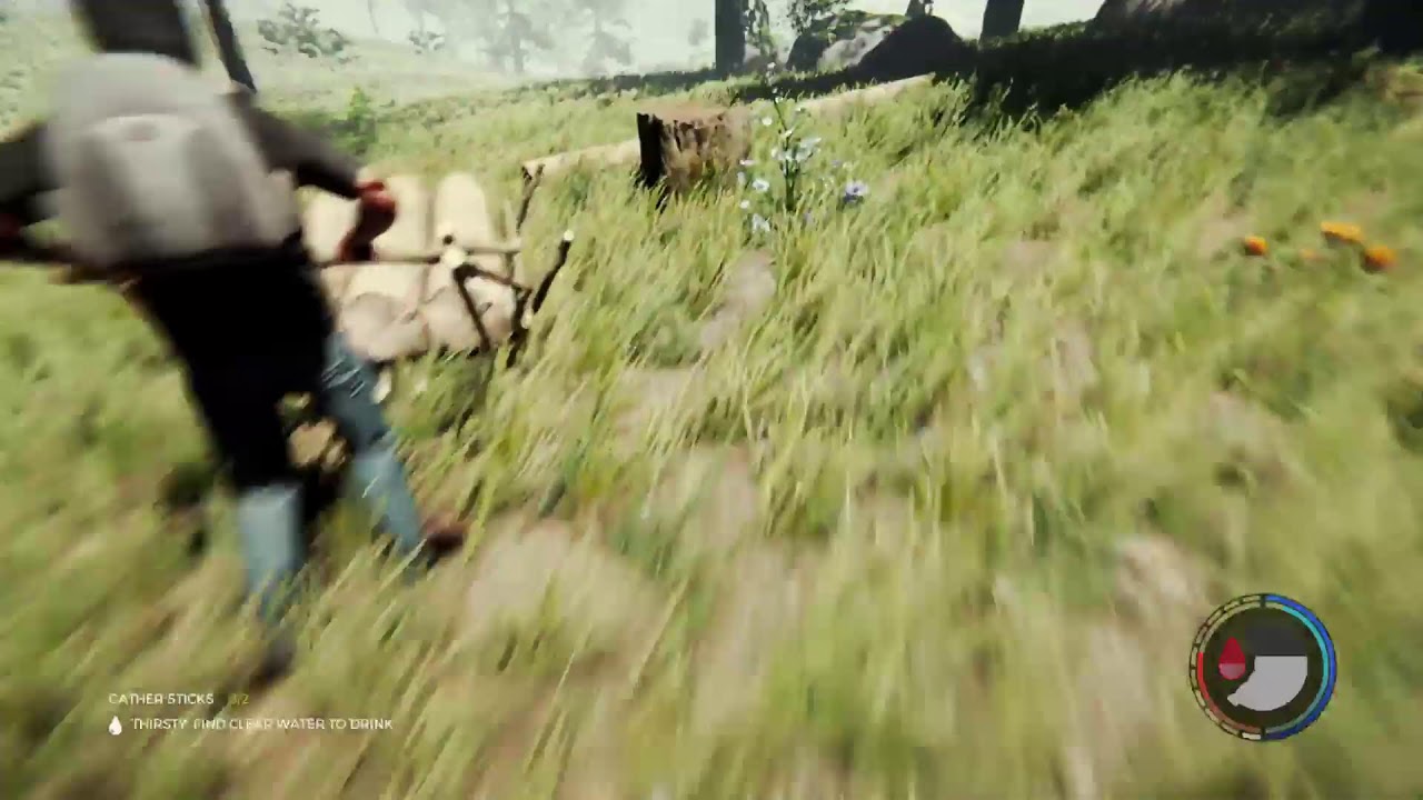 The forest