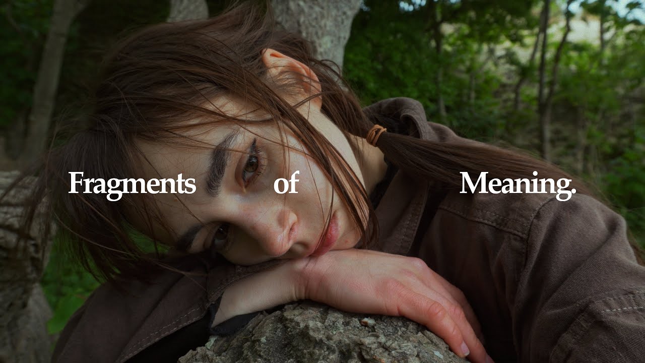 Fragments of meaning/ Фрагменты смысла.short film by Mary K. end sub