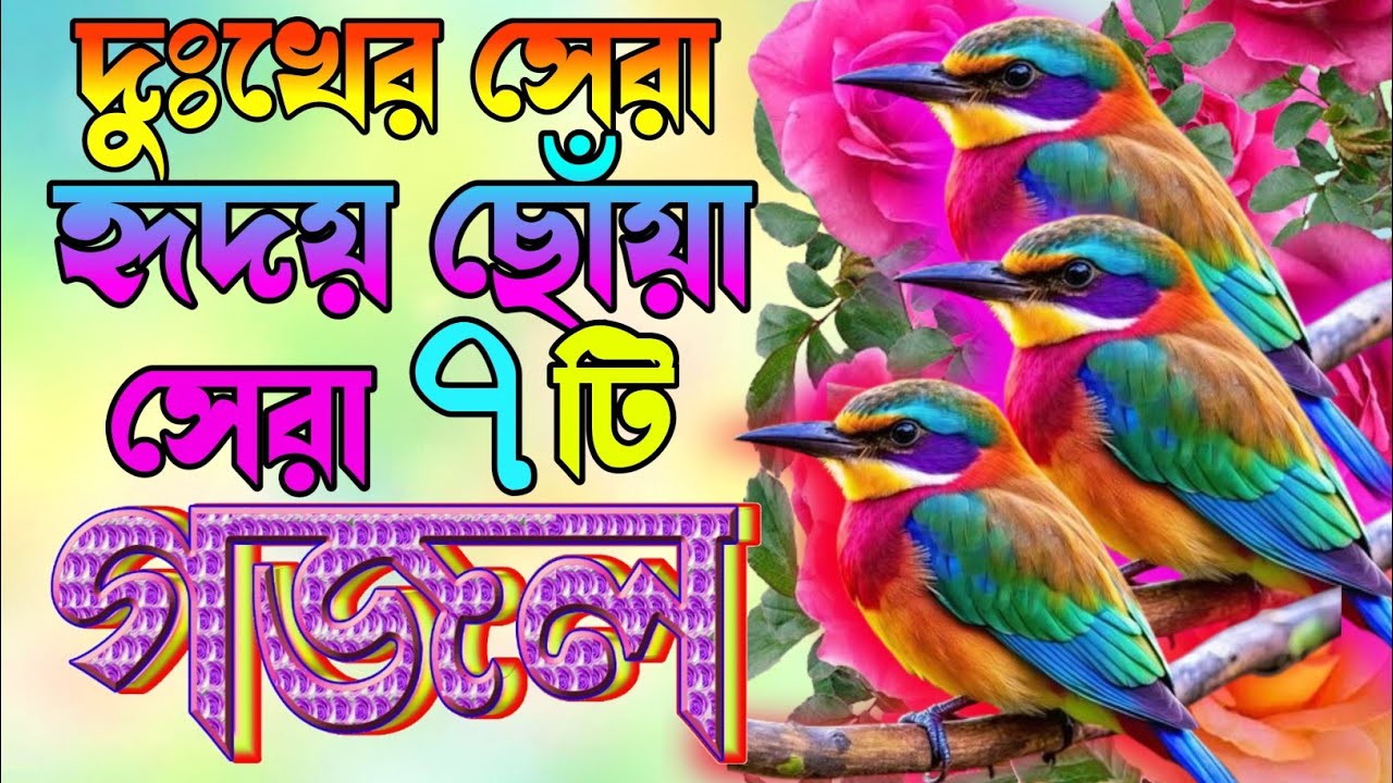 New best gazal |দুঃখের সেরা হৃদয় ছোঁয়া সেরা ৭টি গজল |New Bangla Gazal Islamic Gajal |Asadul Islam 
