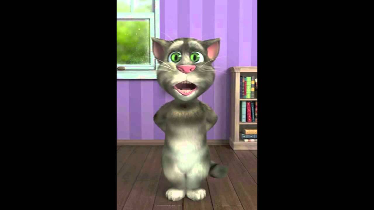 Talking Tom Cat Sings Stereo Heart ft. Adam Levine