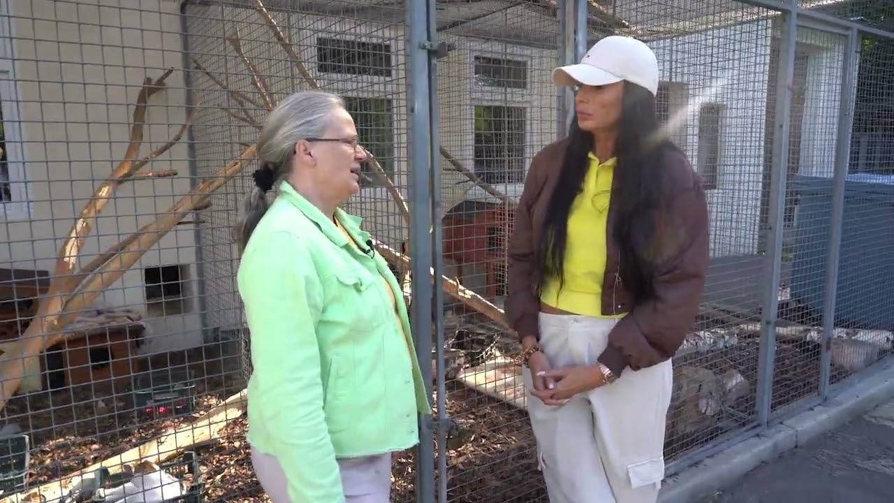 Adopcje w  Miejskim Schronisku dla Bezdomnych Psów i Kotów w Opolu