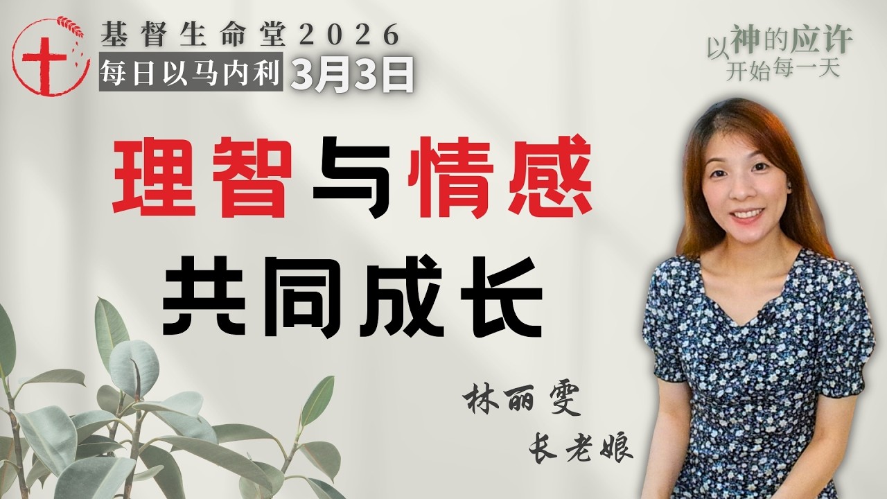 理智与情感共同成长｜每日 - 20260303