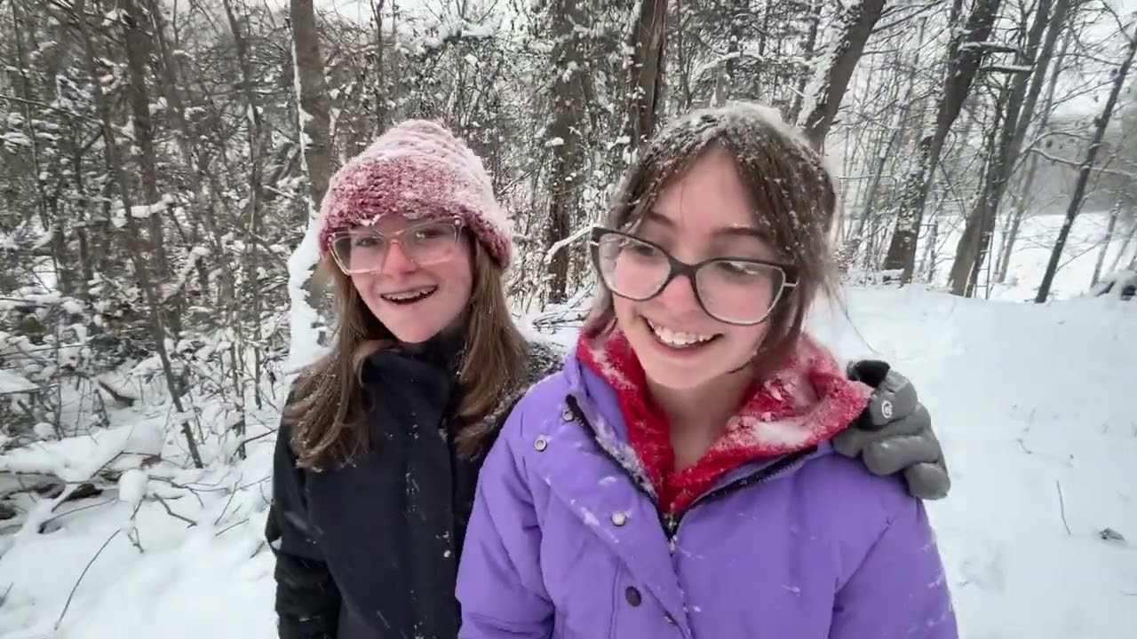 Snow day Greenback TN Cabin