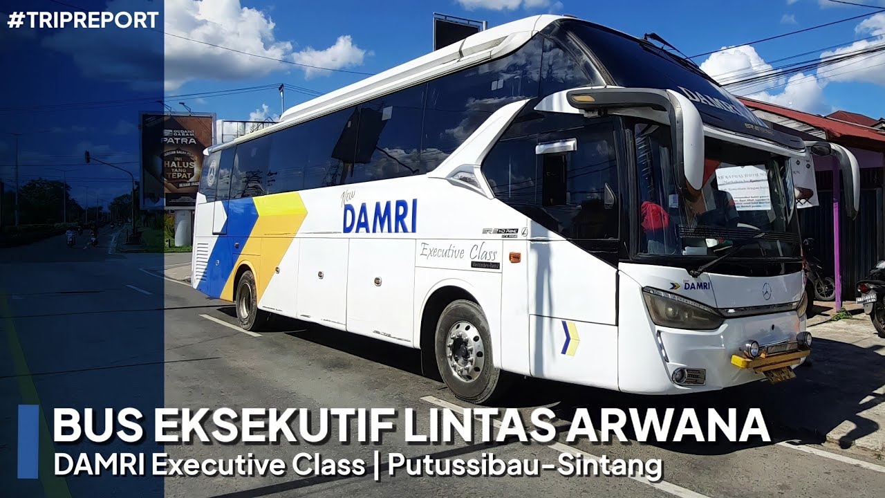 BUS EKSEKUTIF SATU-SATUNYA KAPUAS HULU!!! | Trip Report DAMRI Executive Class Putussibau-Sintang