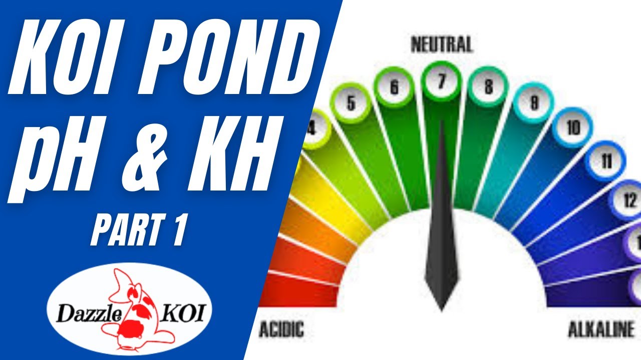 Koi pond pH and KH - [PART 1]
